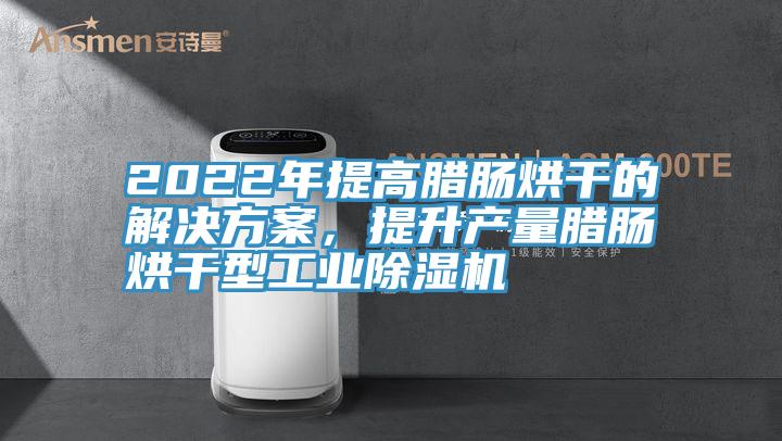 2022年提高臘腸烘干的解決方案，提升產(chǎn)量臘腸烘干型工業(yè)除濕機