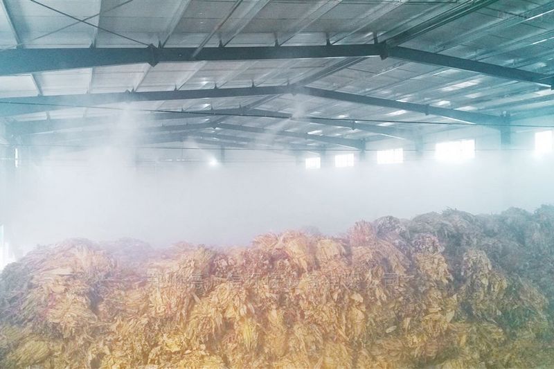 提升煙葉加工質量，高效回潮很重要