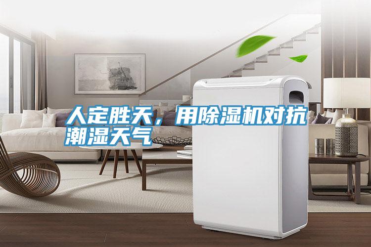 人定勝天,用除濕機對抗潮濕天氣