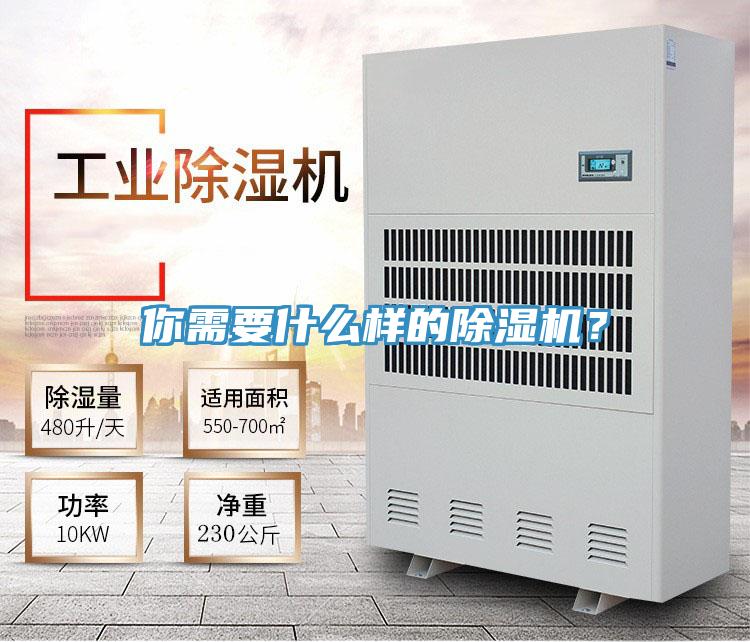 你需要什么樣的除濕機?