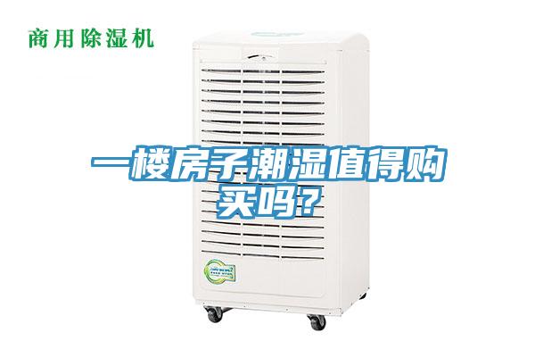 一樓房子潮濕值得購買嗎？
