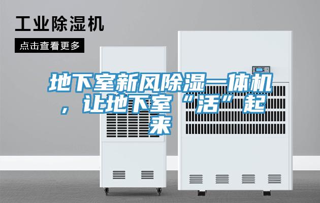 地下室新風除濕一體機，讓地下室“活”起來