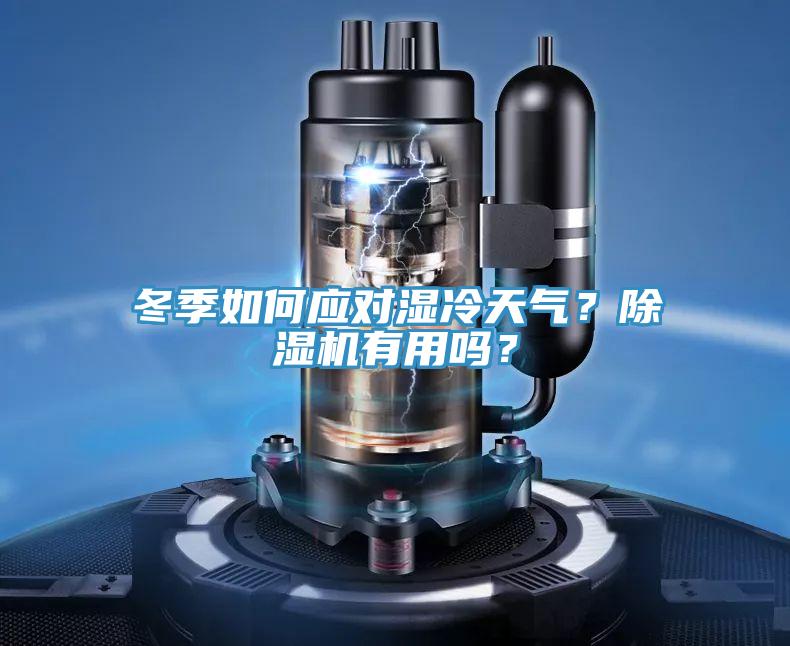 冬季如何應(yīng)對(duì)濕冷天氣？除濕機(jī)有用嗎？