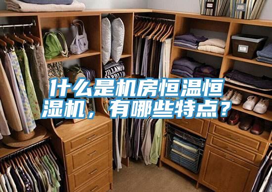 什么是機房恒溫恒濕機,有哪些特點?