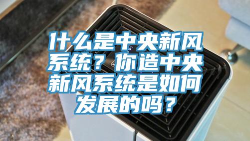什么是中央新風系統？你造中央新風系統是如何發展的嗎？