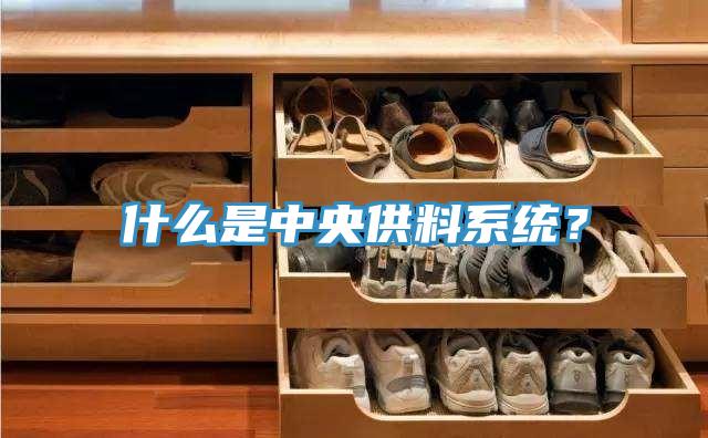 什么是中央供料系統?
