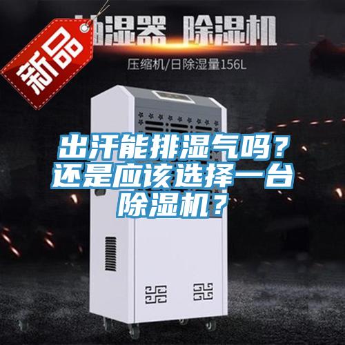 出汗能排濕氣嗎？還是應該選擇一臺除濕機？