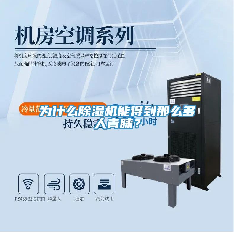 為什么除濕機能得到那么多人青睞？