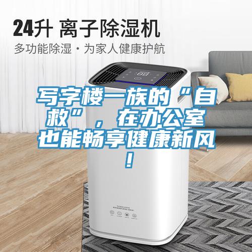 寫字樓一族的“自救”，在辦公室也能暢享健康新風！