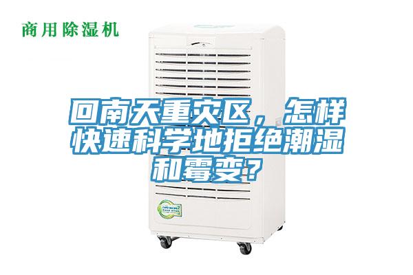 回南天重災區，怎樣快速科學地拒絕潮濕和霉變？