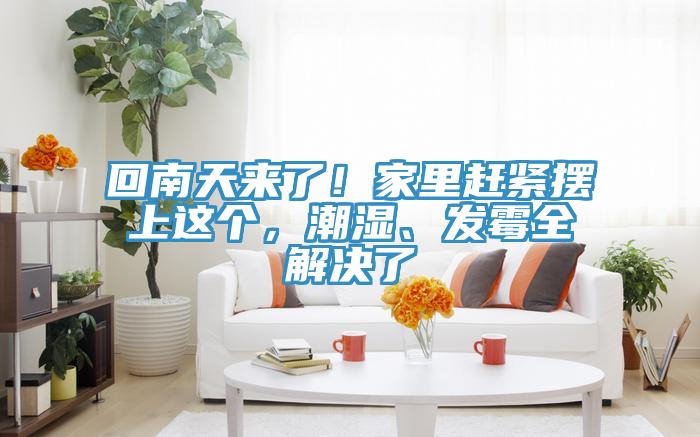 回南天來(lái)了！家里趕緊擺上這個(gè)，潮濕、發(fā)霉全解決了