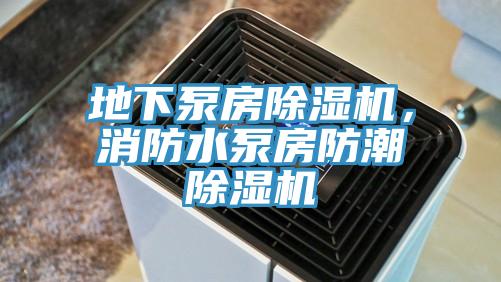 地下泵房除濕機(jī),消防水泵房防潮除濕機(jī)