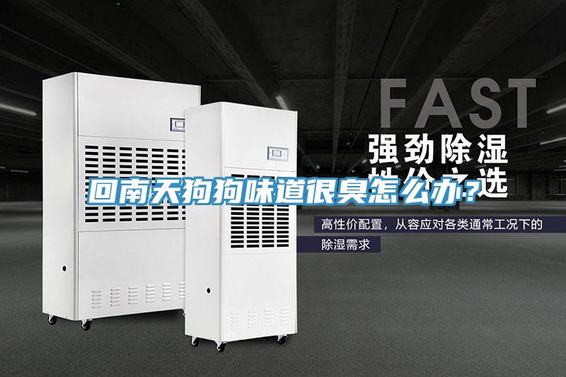 回南天狗狗味道很臭怎么辦？