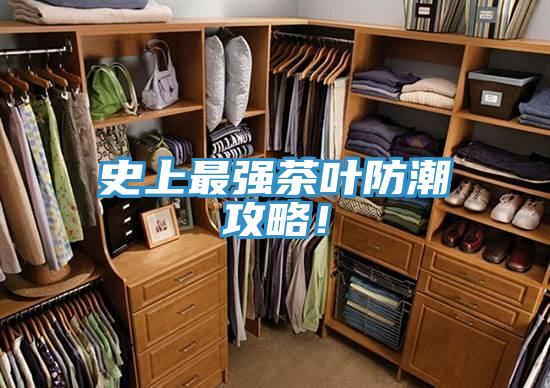 史上最強茶葉防潮攻略！