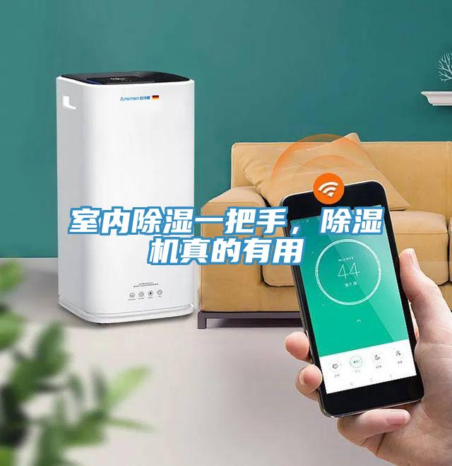 室內(nèi)除濕一把手,除濕機(jī)真的有用