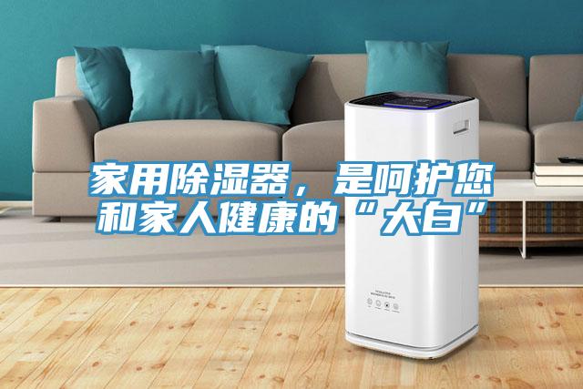 家用除濕器,是呵護您和家人健康的“大白”