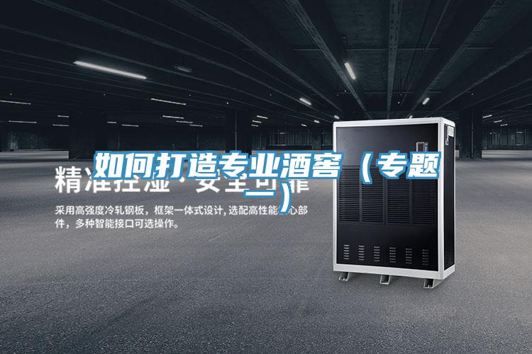 如何打造專業酒窖（專題一）