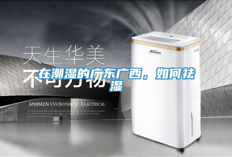 在潮濕的廣東廣西，如何祛濕