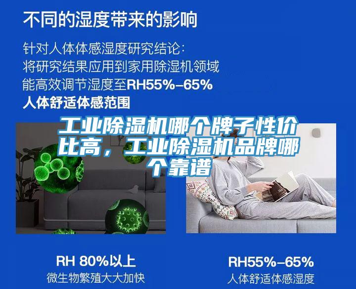 工業(yè)除濕機哪個牌子性價比高，工業(yè)除濕機品牌哪個靠譜