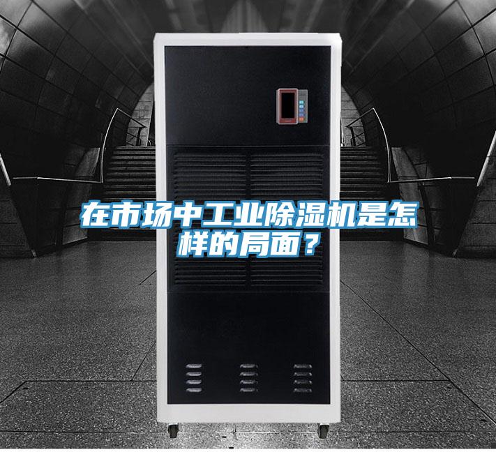 在市場中工業除濕機是怎樣的局面？