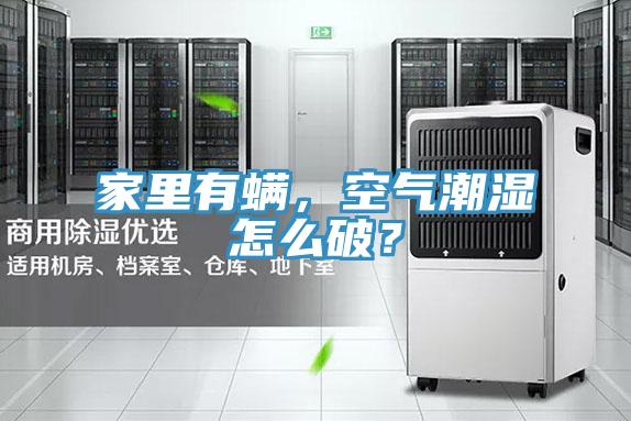 家里有螨，空氣潮濕怎么破？
