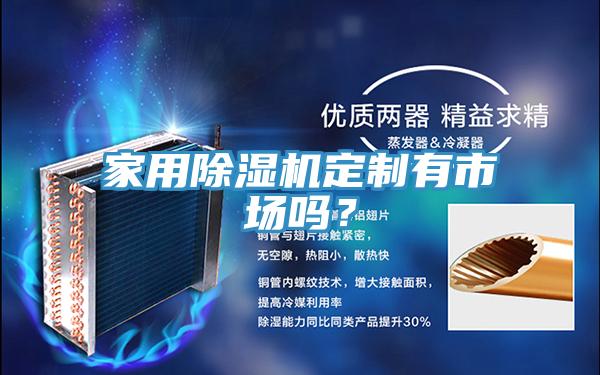 家用除濕機定制有市場嗎?