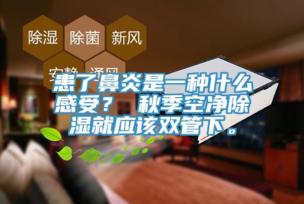 患了鼻炎是一種什么感受？ 秋季空凈除濕就應該雙管下。