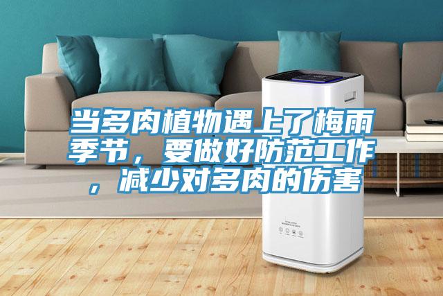 當多肉植物遇上了梅雨季節,要做好防范工作,減少對多肉的傷害