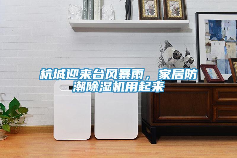 杭城迎來臺風暴雨，家居防潮除濕機用起來