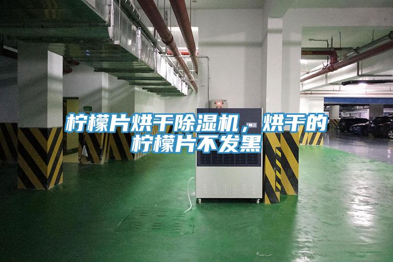 檸檬片烘干除濕機(jī)，烘干的檸檬片不發(fā)黑