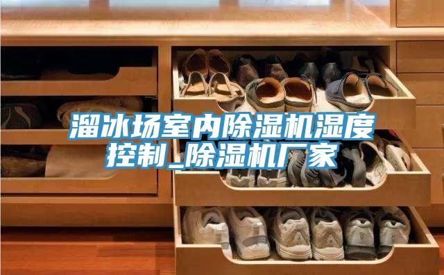 溜冰場室內(nèi)除濕機(jī)濕度控制_除濕機(jī)廠家