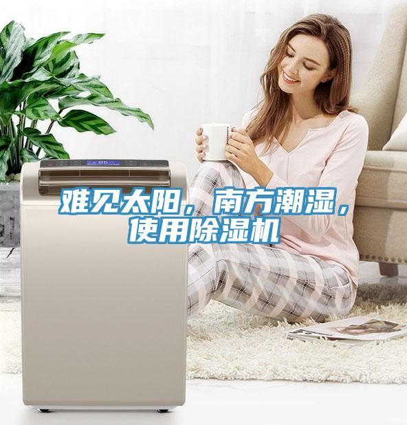 難見太陽，南方潮濕，使用除濕機