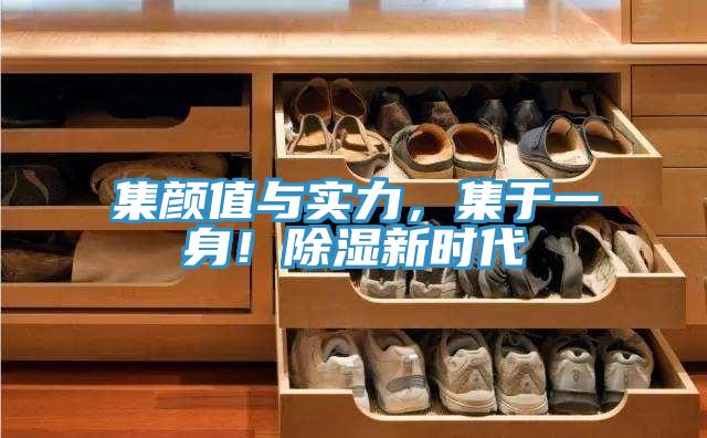 集顏值與實力，集于一身！除濕新時代