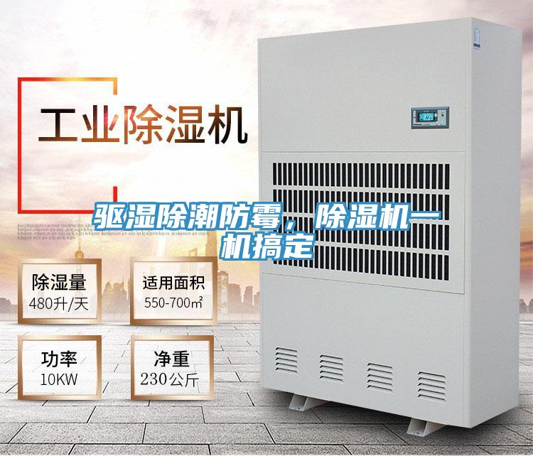 驅濕除潮防霉，除濕機一機搞定