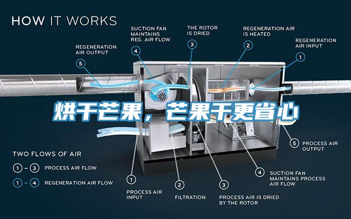 烘干芒果，芒果干更省心