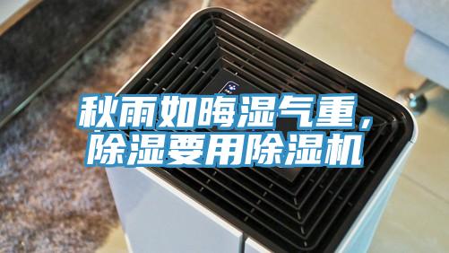 秋雨如晦濕氣重，除濕要用除濕機