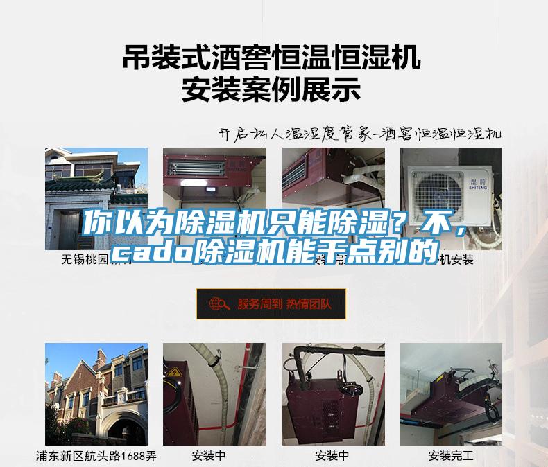 你以為除濕機只能除濕？不，cado除濕機能干點別的