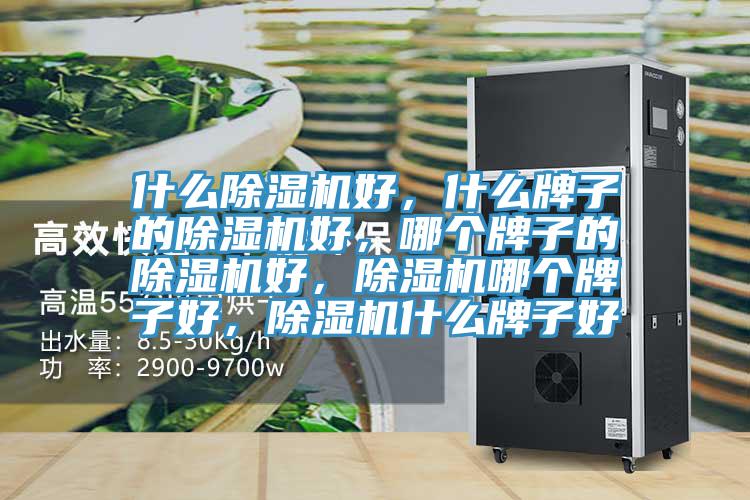 什么除濕機(jī)好，什么牌子的除濕機(jī)好，哪個(gè)牌子的除濕機(jī)好，除濕機(jī)哪個(gè)牌子好，除濕機(jī)什么牌子好