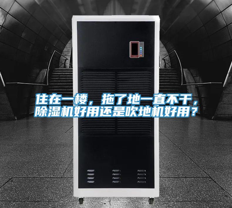 住在一樓，拖了地一直不干，除濕機好用還是吹地機好用？