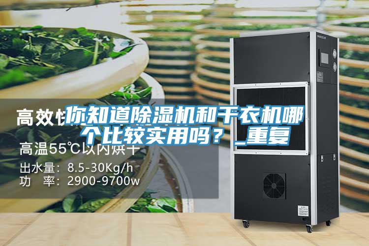 你知道除濕機和干衣機哪個比較實用嗎？_重復