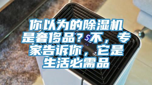 你以為的除濕機是奢侈品？不，專家告訴你，它是生活必需品