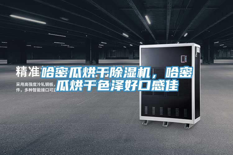 哈密瓜烘干除濕機(jī),哈密瓜烘干色澤好口感佳