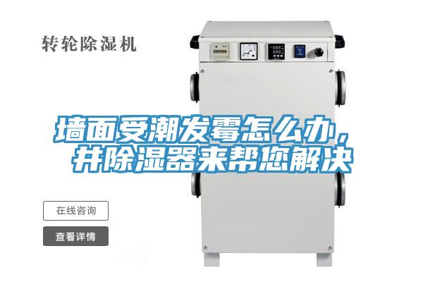 墻面受潮發霉怎么辦,東井除濕器來幫您解決