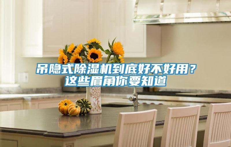 吊隱式除濕機(jī)到底好不好用？這些眉角你要知道