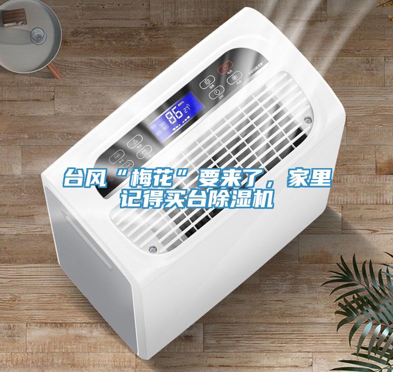 臺(tái)風(fēng)“梅花”要來了,家里記得買臺(tái)除濕機(jī)