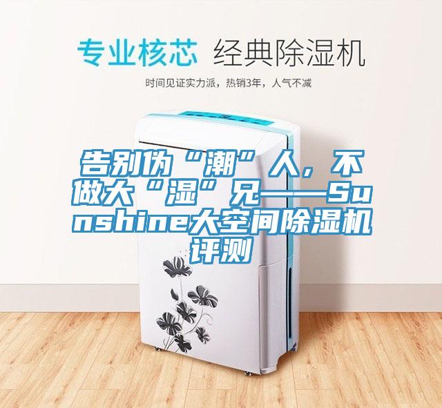 告別偽“潮”人,不做大“濕”兄——Sunshine大空間除濕機評測