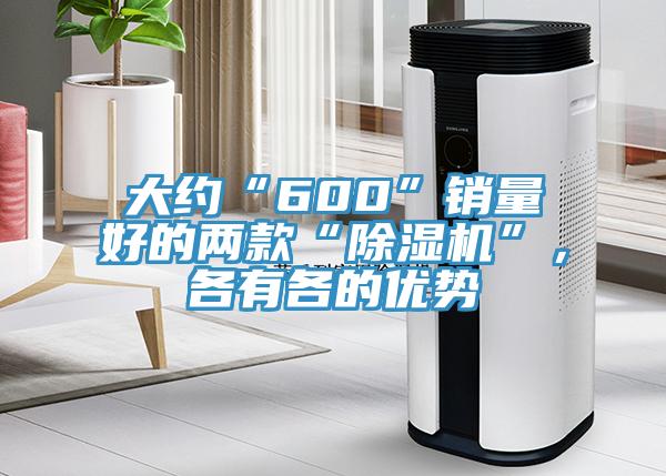 大約“600”銷量好的兩款“除濕機”,各有各的優(yōu)勢