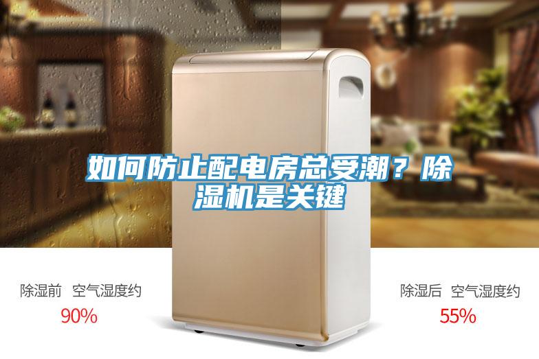 如何防止配電房總受潮？除濕機是關鍵