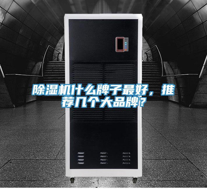 除濕機什么牌子最好，推薦幾個大品牌？