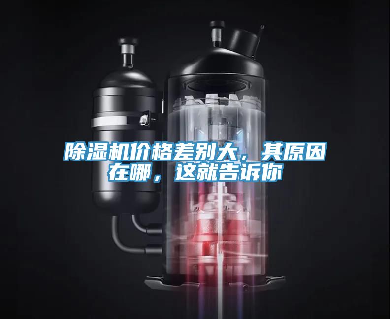 除濕機價格差別大，其原因在哪，這就告訴你